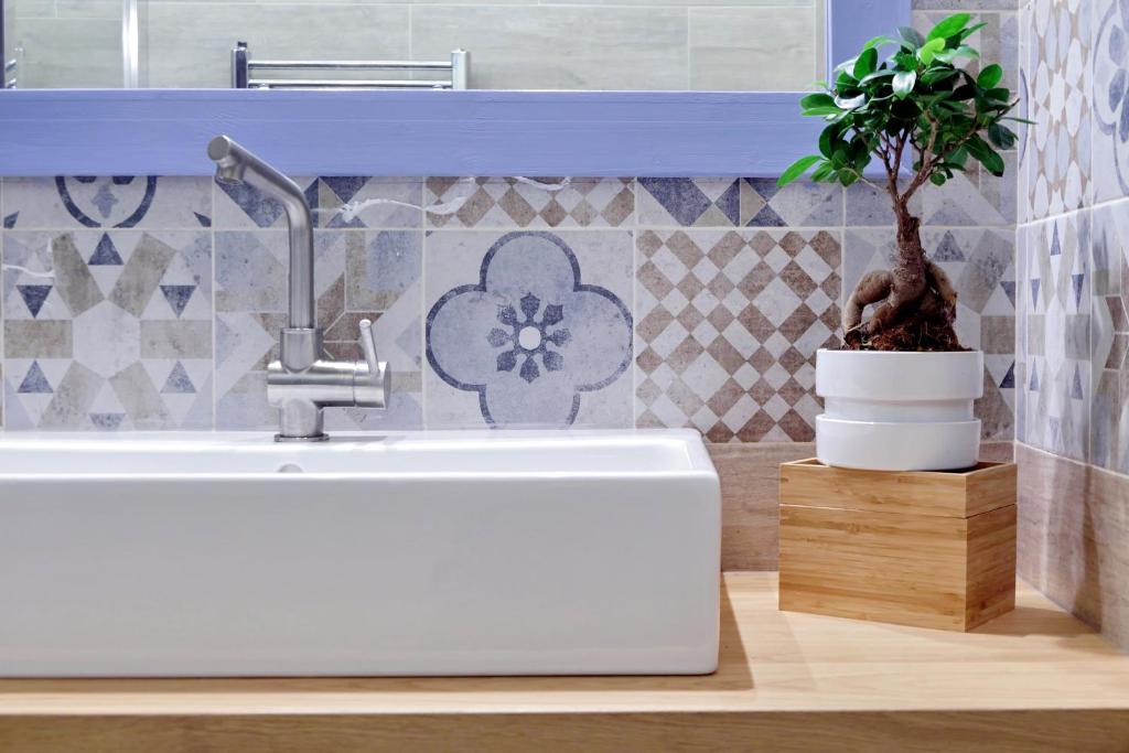 White washbasin, patterned tiles and potted plant